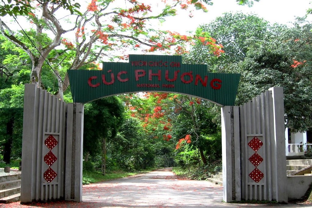 Hoa Lu Tam Coc Cuc Phuong