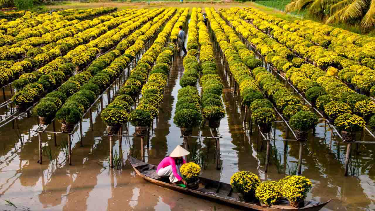 Vietnam Highlight Tour