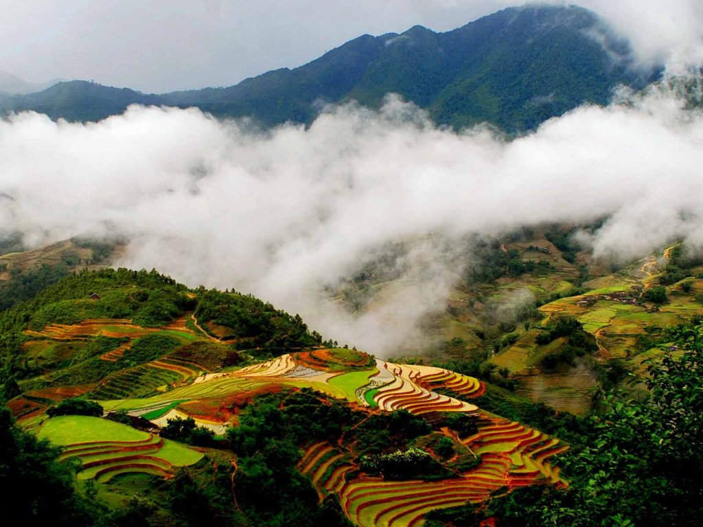 Sapa Bac Ha Market by Bus