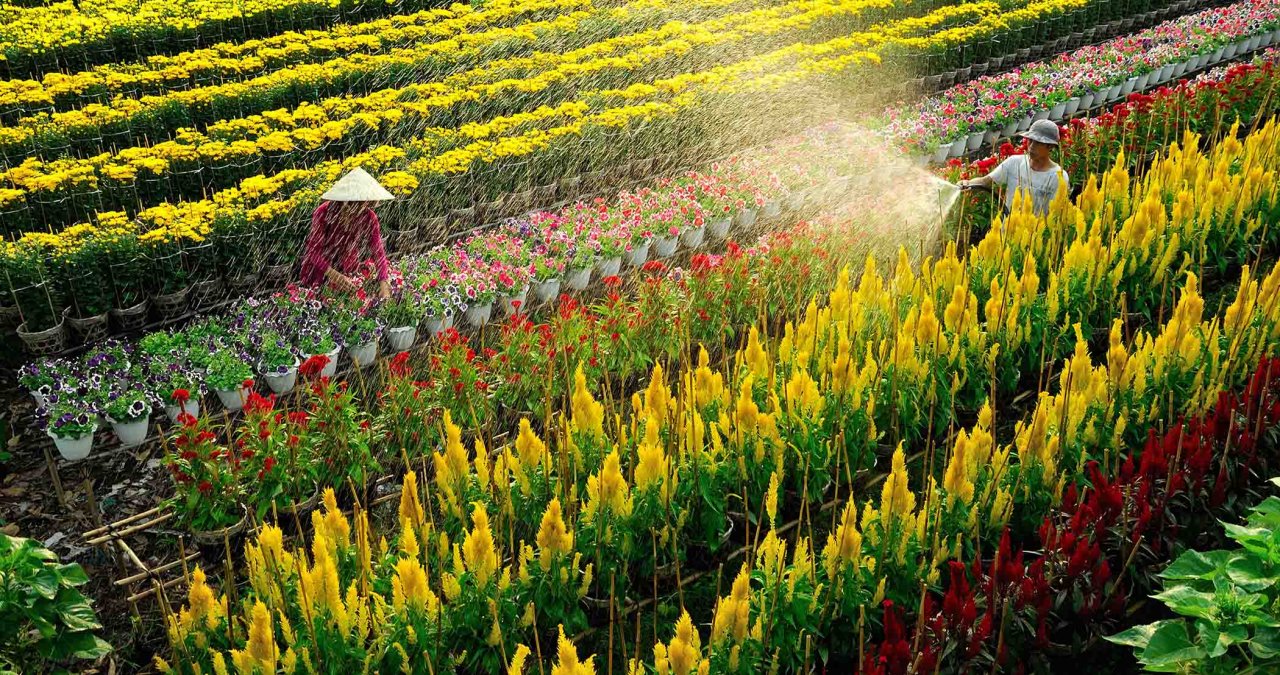 Cai Be Authentic Homestay